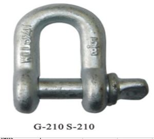 US Type Forged Screw Pin Chain or Dee Shackle G210