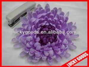 Purple Gerber Daisy Flower Head