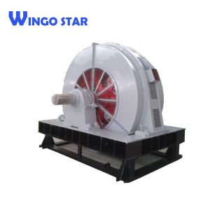 Industrial Synchronous Electric Motor